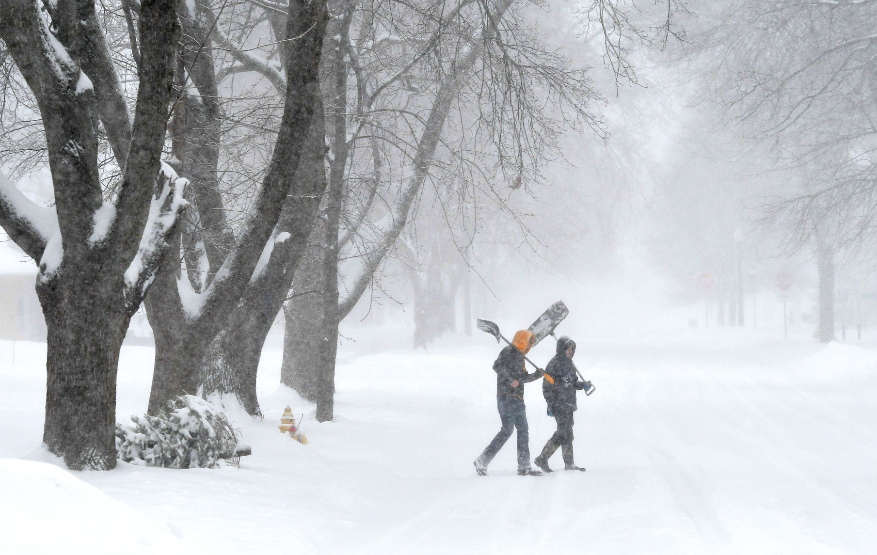 Winter Storm 5.JPG